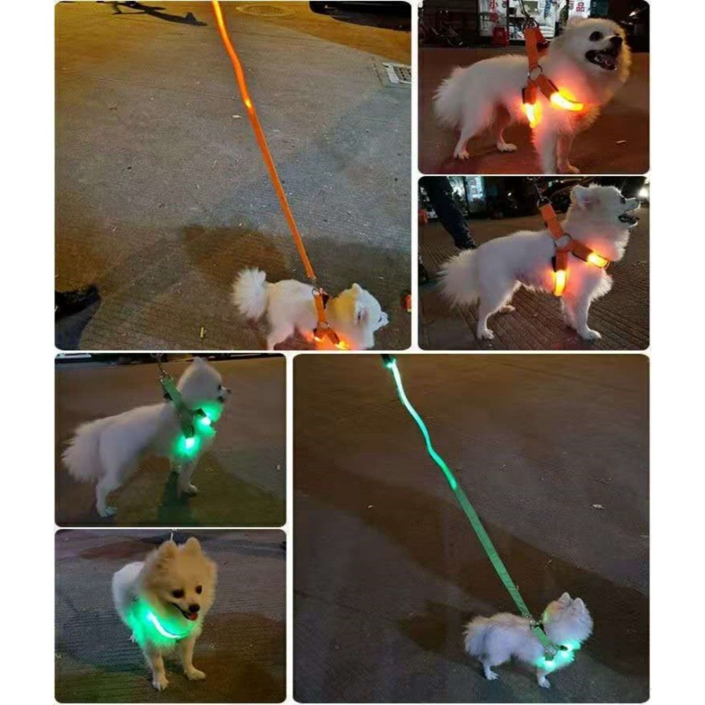 Breathable Light Up LED Dog Ha - Tech Dog Accessories 评论和价格