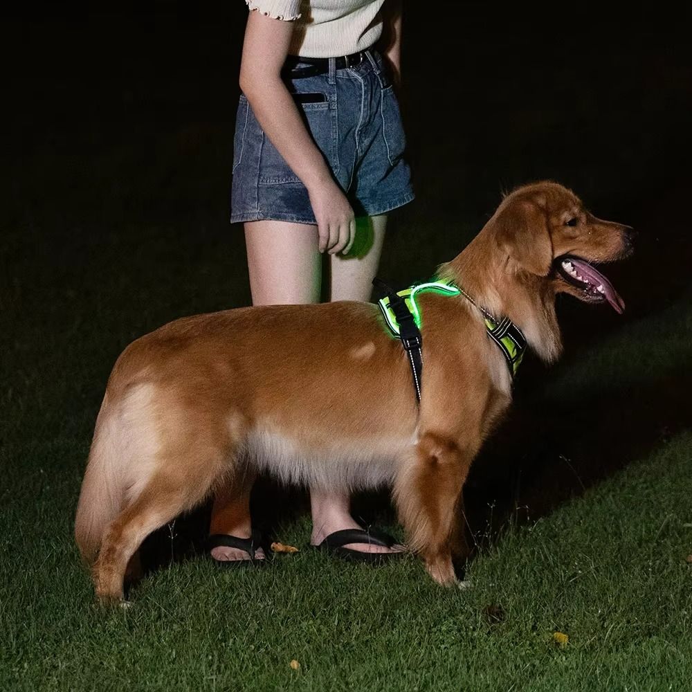 Durable Light Up LED Dog Harne - Tech Dog Accessories 评论和价格