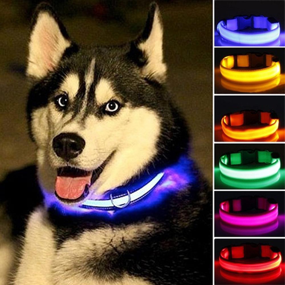 LED Dog Anti-lost Collar Glowi - Tech Dog Accessories 评论和价格