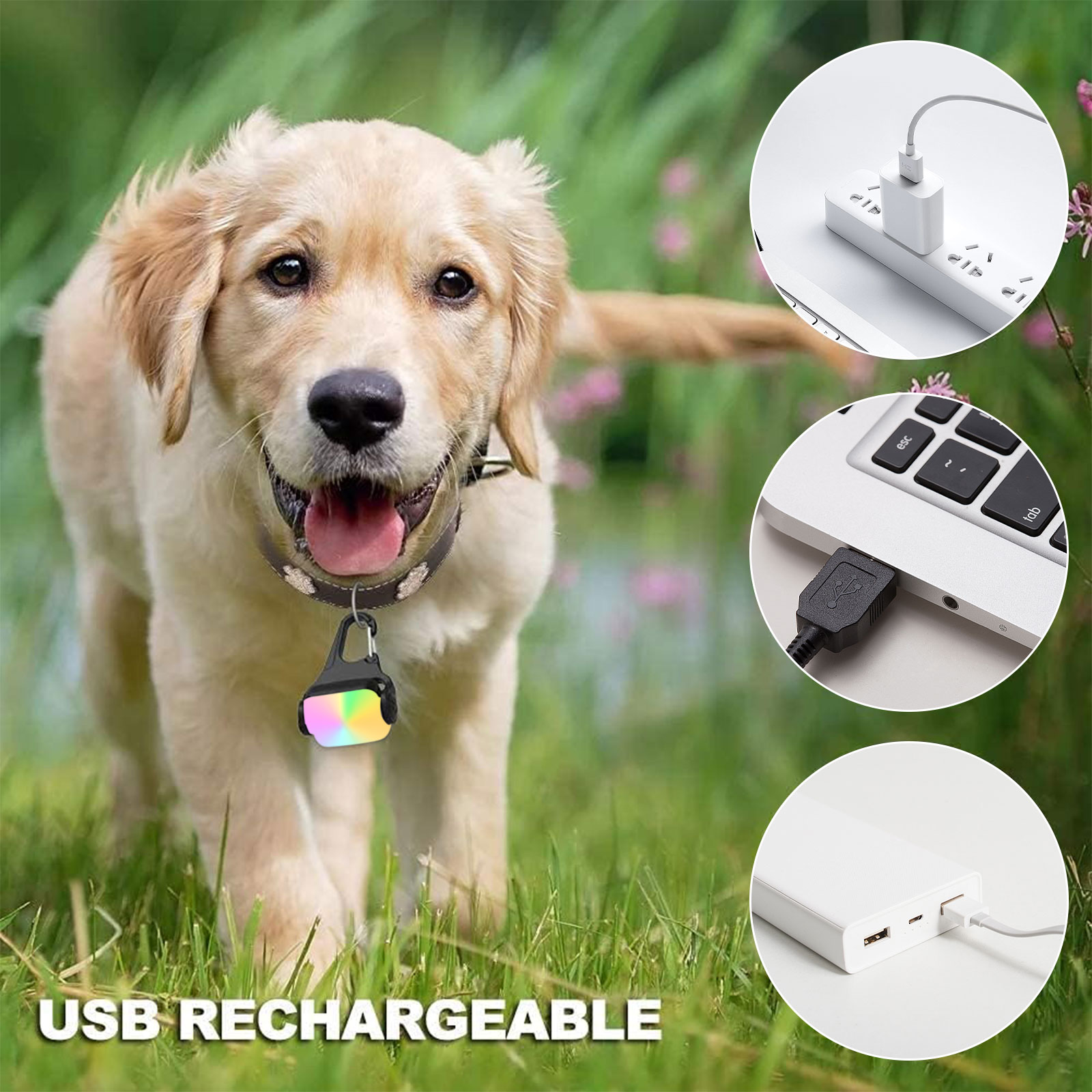 2 Pack LED Dog Collar Light Pe - Tech Dog Accessories 评论和价格