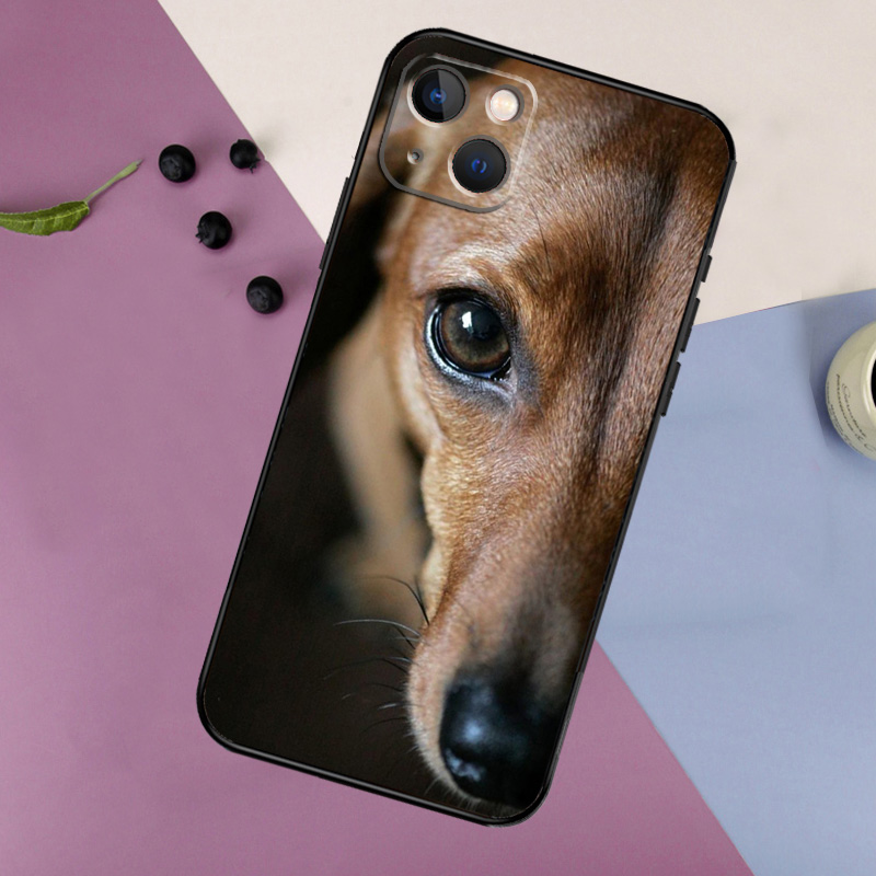 Cute Dachshund Teckel Dackel D - Tech Accessories Iphone 评论和价格